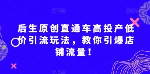 后生原创直通车高投产低价引流玩法，教你引爆店铺流量！-遨游资源库