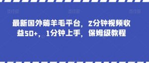 最新国外薅羊毛平台，2分钟视频收益50+，1分钟上手，保姆级教程【揭秘】-遨游资源库