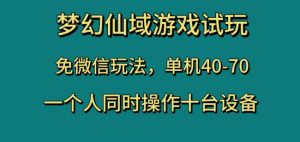 梦幻仙域游戏试玩，免微信玩法，单机40-70，一个人同时操作十台设备【揭秘】-遨游资源库