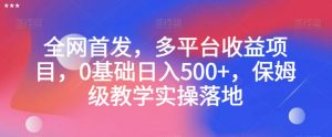 全网首发，多平台收益项目，0基础日入500+，保姆级教学实操落地【揭秘】-遨游资源库