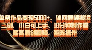 单条作品变现5000+、外网视频搬运二创，小白可上手，10分钟制作爆款高原创视频，矩阵操作【揭秘】-遨游资源库