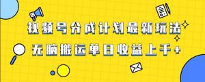 视频号最新爆火赛道玩法，只需无脑搬运，轻松过原创，单日收益上千【揭秘】-遨游资源库