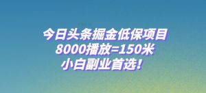 今日头条掘金低保项目，8000播放=150米，小白副业首选【揭秘】-遨游资源库