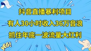 抖音直播暴利项目，有人30小时收入36万音浪，公司宣传片年会视频制作，抓住年底一波流量大红利【揭秘】-遨游资源库
