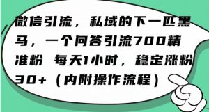 怎么搞精准创业粉？微信新赛道，每天一小时，利用Ai一个问答日引100精准粉-遨游资源库