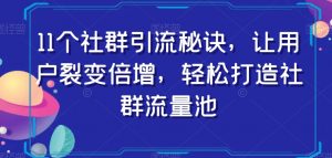11个社群引流秘诀，让用户裂变倍增，轻松打造社群流量池-遨游资源库