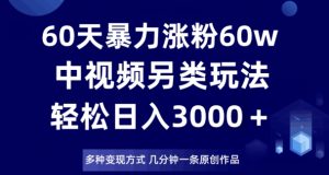 60天暴力涨粉60W，中视频另类玩法，日入3000＋，几分钟一条原创作品多种变现方式-遨游资源库