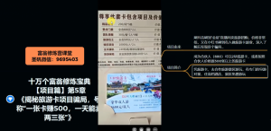 十万个富翁修炼宝典之5.揭秘旅游卡项目骗局，号称“一张卡赚500，一天能卖两三张”-遨游资源库
