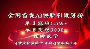 全网首发Ai换脸引流男粉，单日涨粉1.5w+，单日变现3000+，小白也能轻松上手拿结果【揭秘】-遨游资源库