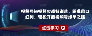 视频号短视频实战特训营，踩准风口红利，轻松开启视频号爆单之路-遨游资源库