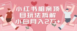 小红书相亲项目玩法拆解，有人通过这个副业项目做到了月收入2万多【揭秘】-遨游资源库