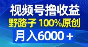 视频号野路子撸收益，100%原创，条条爆款，月入6000＋【揭秘】-遨游资源库