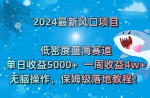 2024最新风口项目,低密度蓝海赛道,单日收益5000+,一周收益4w+!【揭秘】-遨游资源库