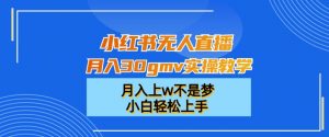 小红书无人直播月入30gmv实操教学，月入上w不是梦，小白轻松上手【揭秘】-遨游资源库