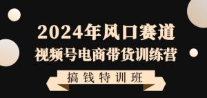2024年风口赛道视频号电商带货训练营搞钱特训班，带领大家快速入局自媒体电商带货-遨游资源库