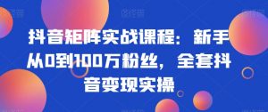 抖音矩阵实战课程:新手从0到100万粉丝,全套抖音变现实操-遨游资源库