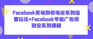 Facebook菜鸟到老鸟全系列运营玩法+Facebook专业广告投放全系列课程-遨游资源库
