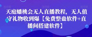 天庭蟠桃会无人直播教程，无人值守礼物收到爆【免费整蛊软件+直播间搭建软件】-遨游资源库