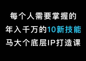 马大个的IP底层逻辑课，​每个人需要掌握的年入千万的10新技能，约会底层IP打造方法！-遨游资源库
