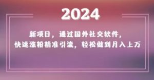 2024新项目，通过国外社交软件，快速涨粉精准引流，轻松做到月入上万【揭秘】-遨游资源库