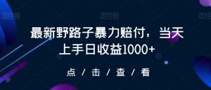 最新野路子暴力赔付,当天上手日收益1000+【仅揭秘】-遨游资源库