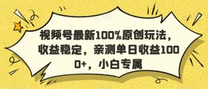 视频号最新100%原创玩法，收益稳定，亲测单日收益1000+，小白专属【揭秘】-遨游资源库