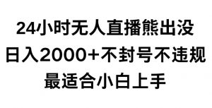 快手24小时无人直播熊出没，不封直播间，不违规，日入2000+，最适合小白上手，保姆式教学【揭秘】-遨游资源库
