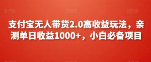 支付宝无人带货2.0高收益玩法，亲测单日收益1000+，小白必备项目【揭秘】-遨游资源库