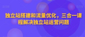独立站搭建和流量优化，三合一课程解决独立站运营问题-遨游资源库