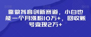 靠做抖音创新赛道，小白也能一个月涨粉10万+，回收账号变现2万+【揭秘】-遨游资源库