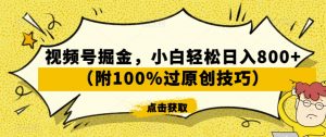 视频号掘金，小白轻松日入800+（附100%过原创技巧）【揭秘】-遨游资源库