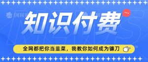 2024最新知识付费项目，小白也能轻松入局，全网都在教你做项目，我教你做镰刀【揭秘】-遨游资源库