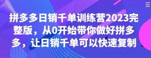 拼多多日销千单训练营2023完整版，从0开始带你做好拼多多，让日销千单可以快速复制-遨游资源库