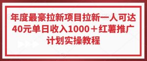 年度最豪拉新项目拉新一人可达40元单日收入1000＋红薯推广计划实操教程【揭秘】-遨游资源库
