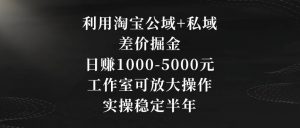 利用淘宝公域+私域差价掘金,日赚1000-5000元,工作室可放大操作,实操稳定半年【揭秘】-遨游资源库