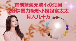 首创蓝海无脑小众项目，2分钟暴力吸粉小姐姐富太太，月入几十万【揭秘】-遨游资源库