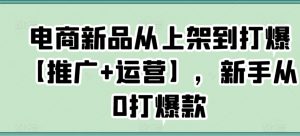 电商新品从上架到打爆【推广+运营】,新手从0打爆款-遨游资源库