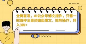 全网首发，AI公众号爆文插件，只需一款插件全自动输出爆文，矩阵操作，月入3W+【揭秘】-遨游资源库