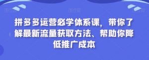 拼多多运营必学体系课，带你了解最新流量获取方法、帮助你降低推广成本-遨游资源库