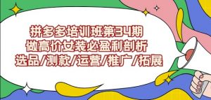 拼多多培训班第34期：做高价女装必盈利剖析选品/测款/运营/推广/拓展-遨游资源库