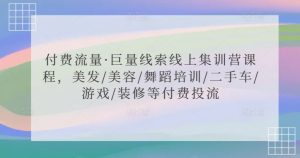 付费流量·巨量线索线上集训营课程,美发/美容/舞蹈培训/二手车/游戏/装修等付费投流-遨游资源库