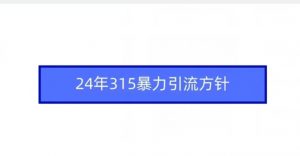 24年315暴力引流方针-遨游资源库