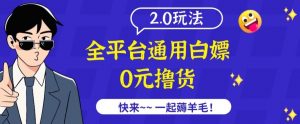 外面收费2980的全平台通用白嫖撸货项目2.0玩法【仅揭秘】-遨游资源库