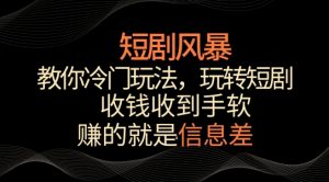 短剧风暴，教你冷门玩法，玩转短剧，收钱收到手软【揭秘】-遨游资源库