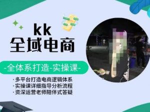 KK全域电商,全体系打造实操课,多平台打造电商逻辑体系-遨游资源库