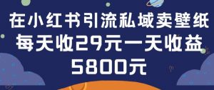 在小红书引流私域卖壁纸每张29元单日最高卖出200张(0-1搭建教程)【揭秘】-遨游资源库