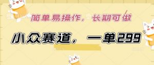 小众赛道，一单299.简单易操作，长期可做【揭秘】-遨游资源库