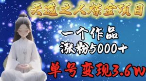 天选之人炼金项目，一个作品涨粉5000+，单号变现3.6w【揭秘】-遨游资源库
