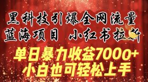 蓝海项目!黑科技引爆全网流量小红书拉新,单日暴力收益7000+,小白也能轻松上手【揭秘】-遨游资源库