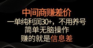 中间商赚差价，一单纯利润30+，简单无脑操作，赚的就是信息差，轻轻松松日入1000+【揭秘】-遨游资源库